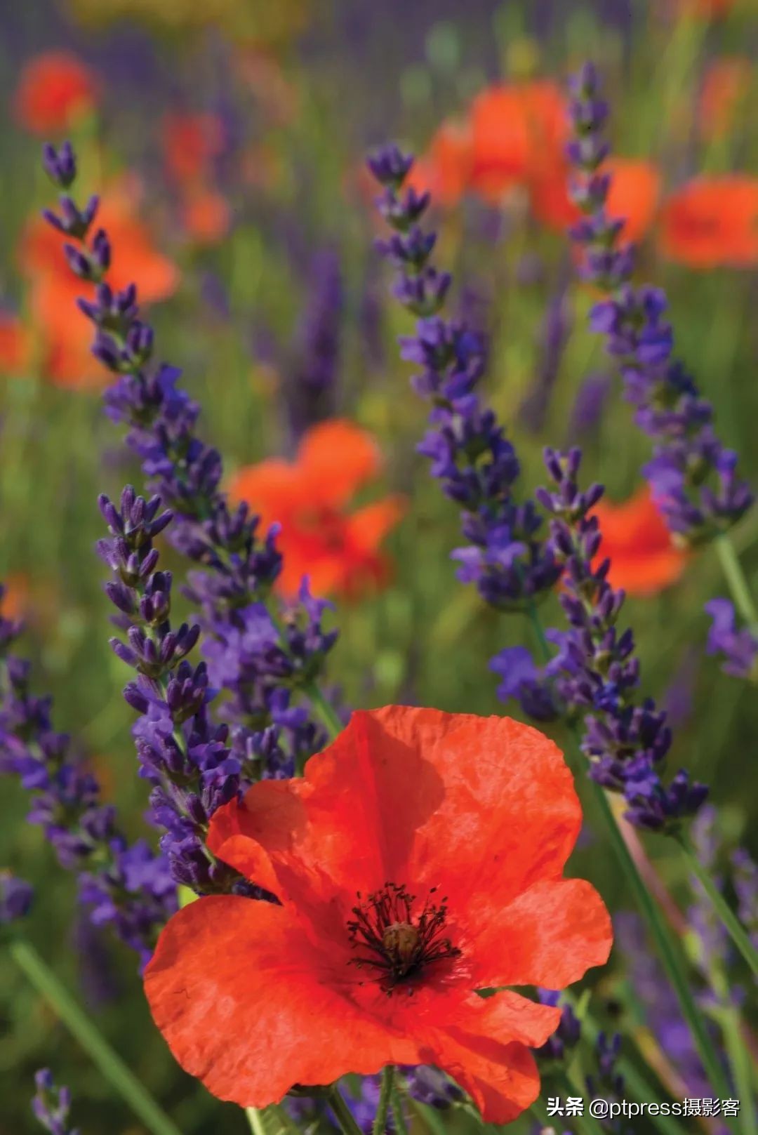 光圈值越大光圈越大正确还是错误,相机光圈与镜头光圈的关系