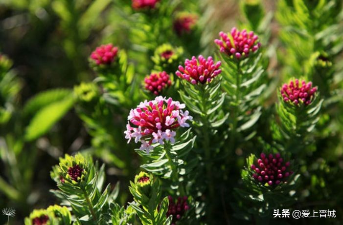 晋城有个啥山,晋城有什么山有名