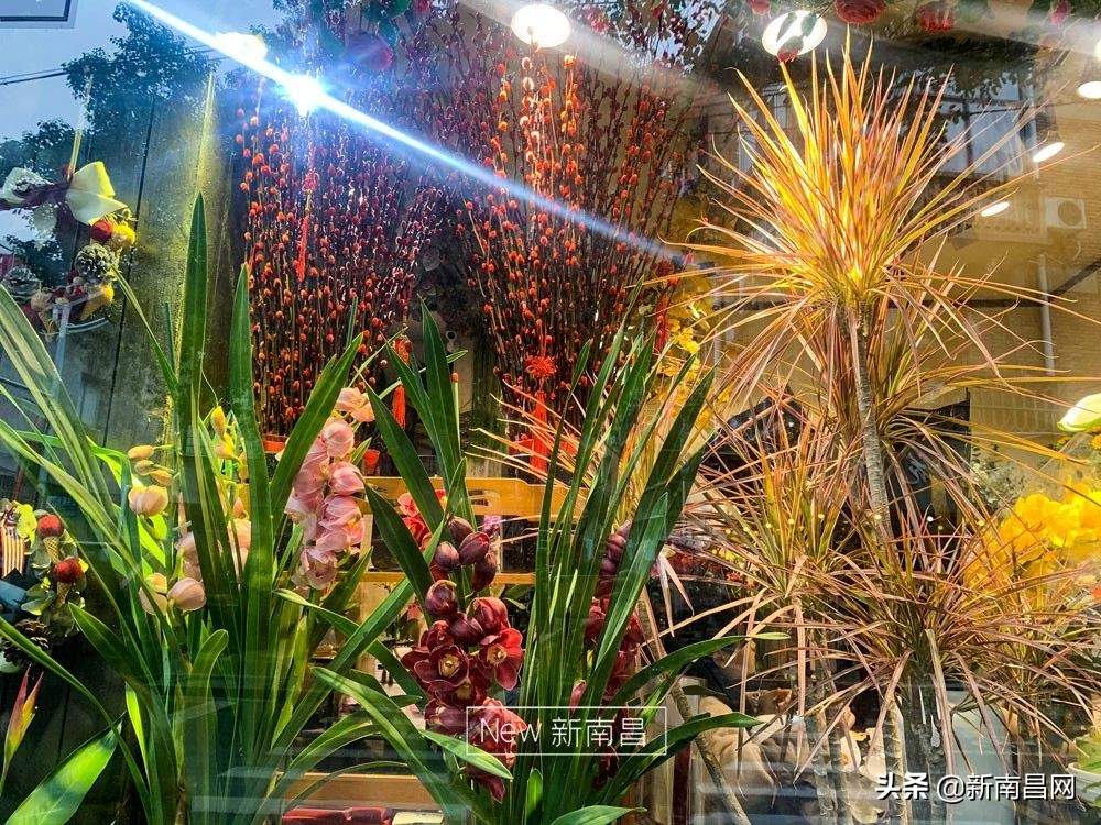 南昌花市有哪些地方,南昌花市批发市场