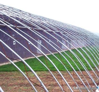 建造温室大棚骨架,温室大棚骨架