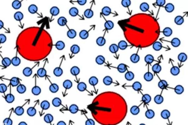 八个小时不停拍打鸡肉,8个小时内不停拍打生鸡肉