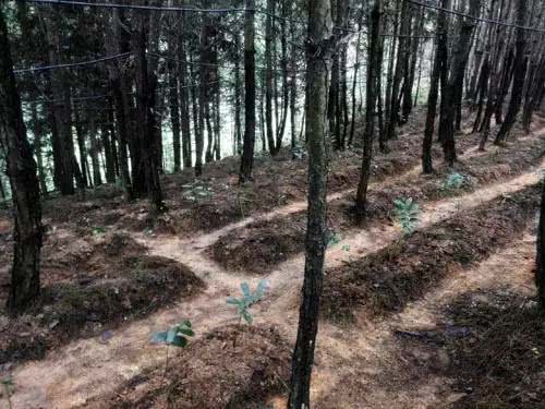 光泽去建阳的班车有几班,高速光泽去建阳多少公里