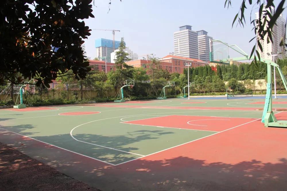 日照新营小学运动场对外开放吗,日照市新营小学西校区对外开放