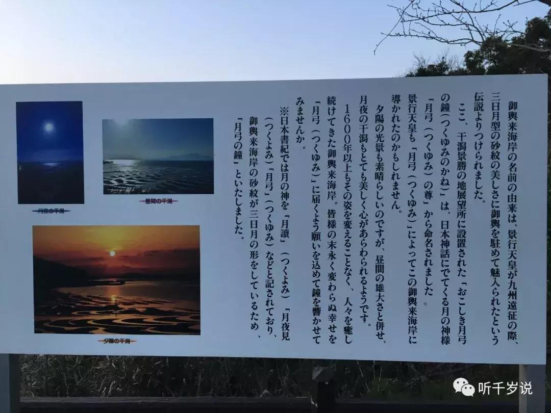 日本东京熊本熊,日本熊本游