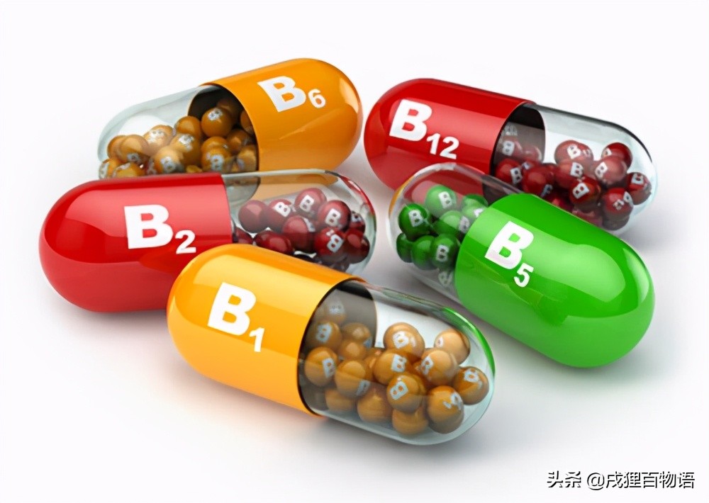 狗狗肾脏引起的贫血,狗狗贫血检查项目