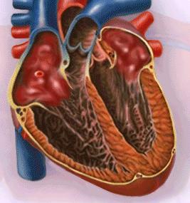 冠心病能治好吗,冠心病能治好吗最真实的经验分享
