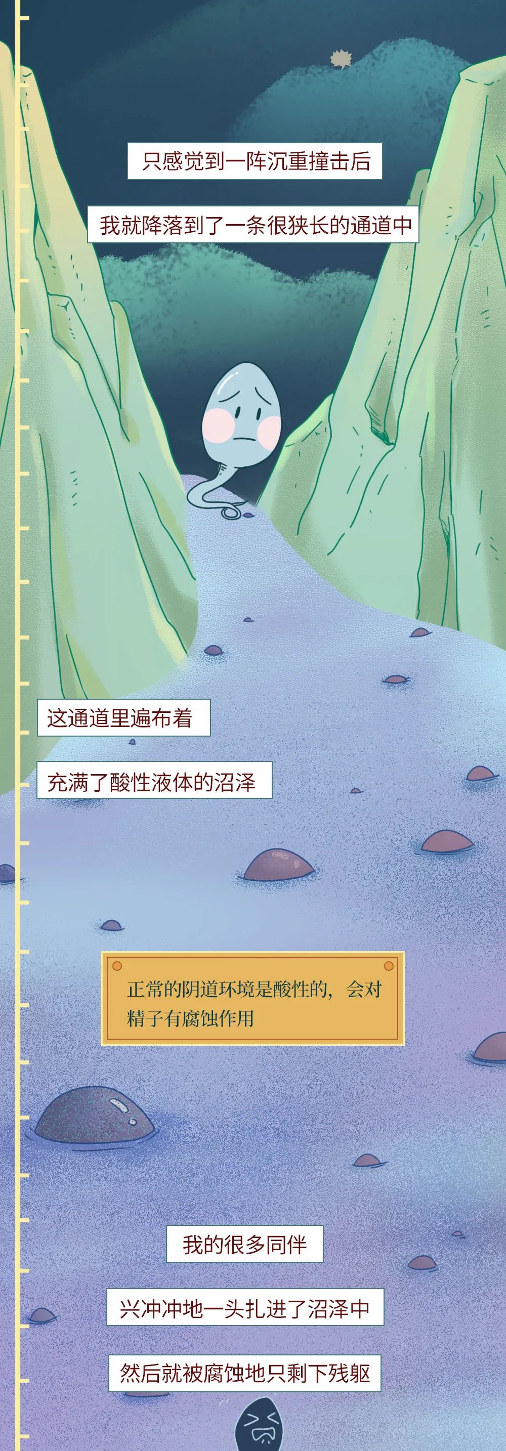 精子进入人体24小时变化,男性精子在体内存活时间