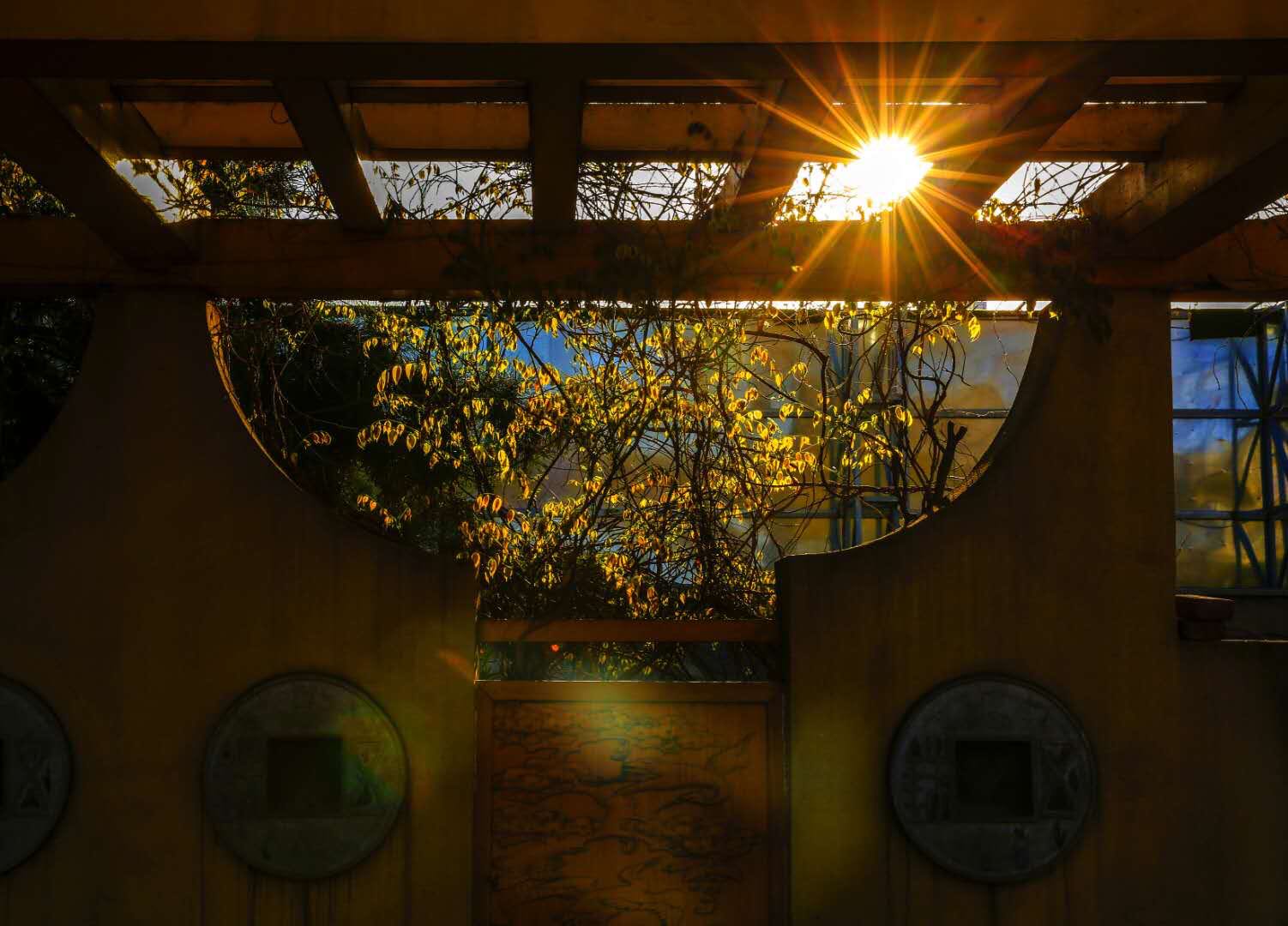 去新疆南疆北疆,去南疆北疆游