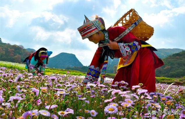 “云南科技扶贫百名县长直播”泸西：春风十里，不如在这里遇见你