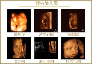 胎儿在肚子里发育的全过程照片,胎儿在肚子里的成长过程图片