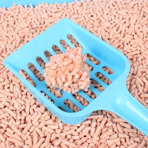 猫砂太臭猫咪还在里面上厕所吗,猫想上厕所没有猫砂怎么办