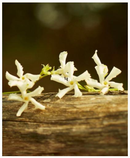 迪奥香水和古驰香水哪个好,古驰罪爱男士香水哪款好闻