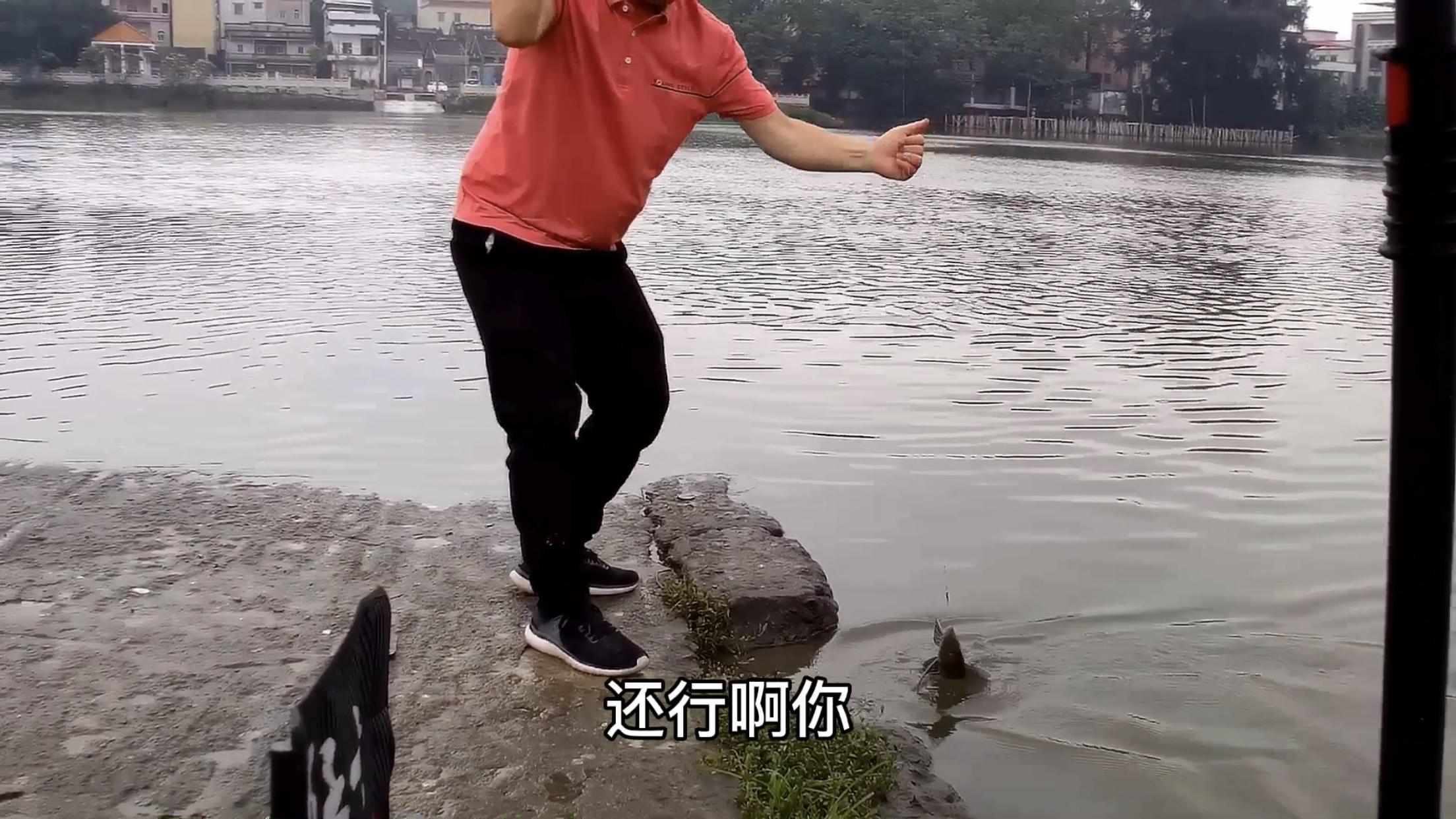 调平水时双钩压不下目数该怎么办,浮漂空钩调平水钓二目视频