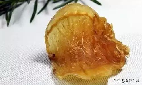 花胶的种类和区别,花胶一共有几种类型的品种