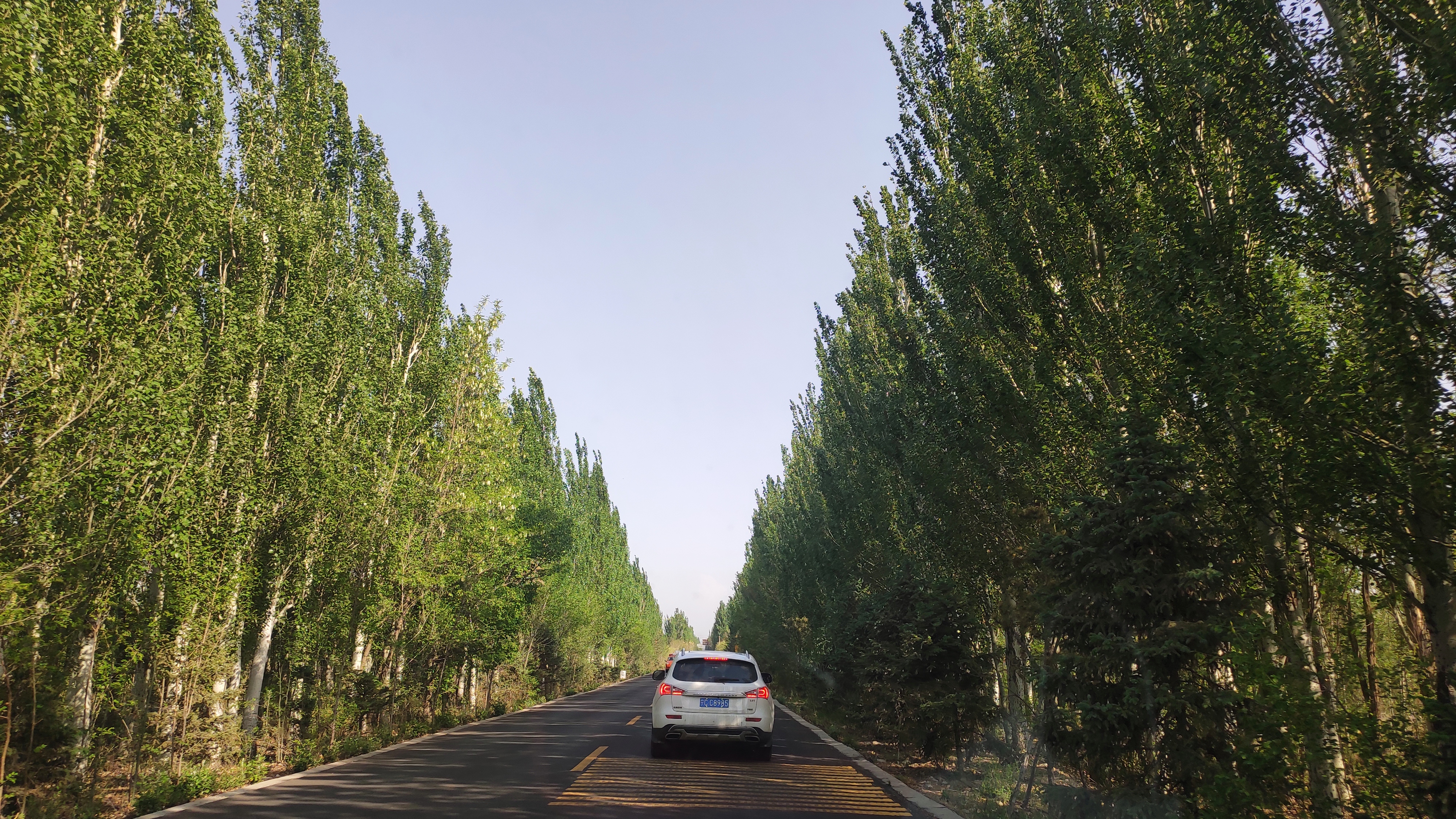 搓面下肚就发车,韩美林艺术馆里摆POSE,贺兰山边看睡佛