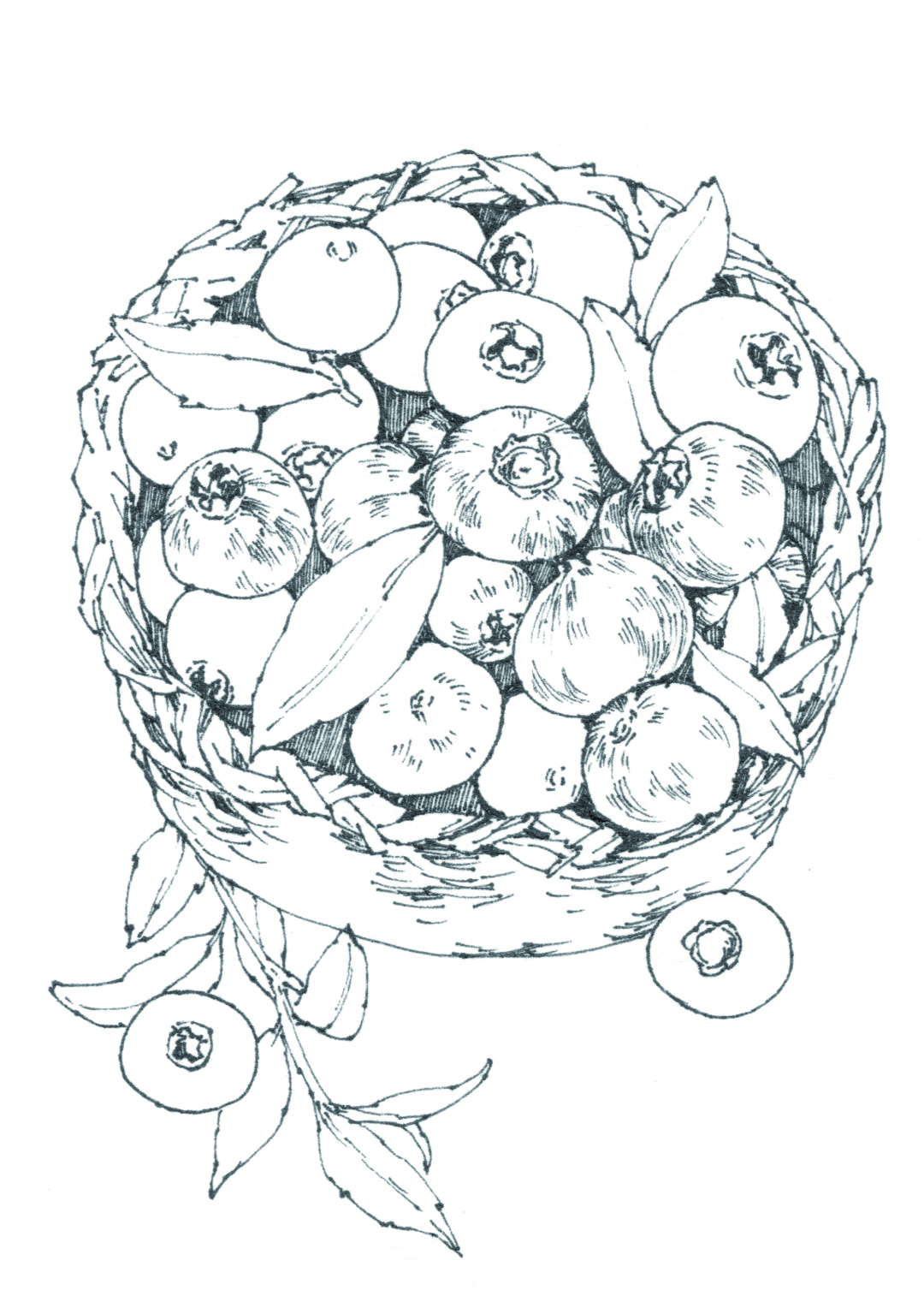 章鱼小丸子草莓,蓝莓章鱼小丸子