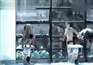 向太炮轰周星驰各路明星战队,向太陈岚怎么评价张柏芝的