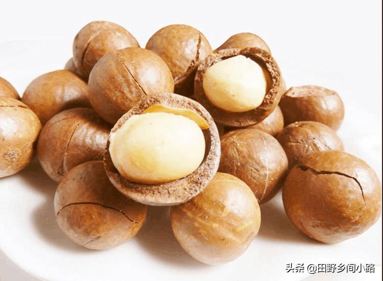 夏威夷果味道是怎么出来的,夏威夷果怎么才能打开只有一条缝