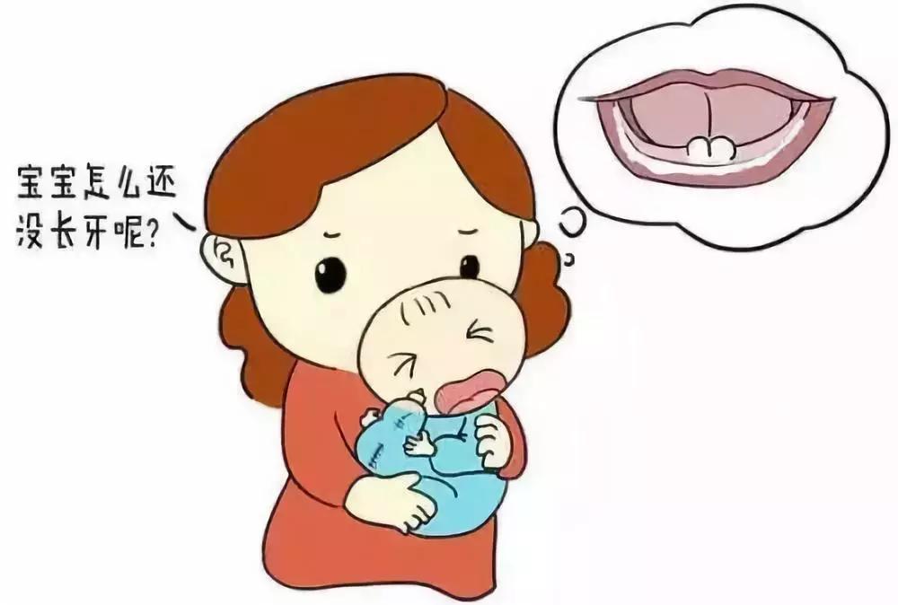 宝宝长牙期妈妈应该做什么,宝宝长牙时需要宝妈补什么