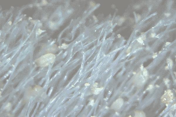 无印良品的天然乳胶枕头价格,无印良品有乳胶枕头授权吗