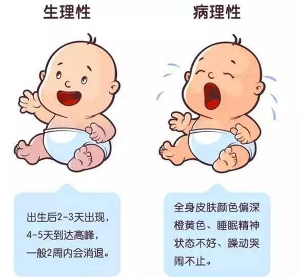 早产儿黄疸值偏高怎么办,早产儿黄疸降低又升高怎么回事