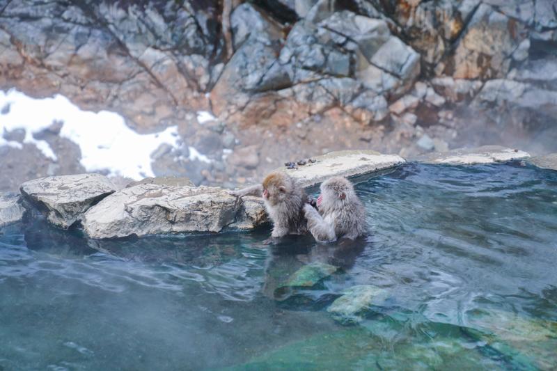 日本小众路线冬,日本冬天观光公路