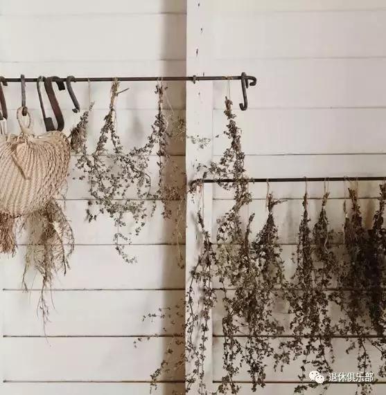 鲜花快枯萎了怎么变干花,枯萎的花先别扔