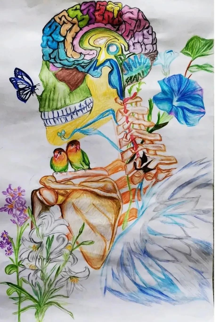 左手丹青,右手手术刀,985名校医学生笔记曝光!网友:这是学神级别的!