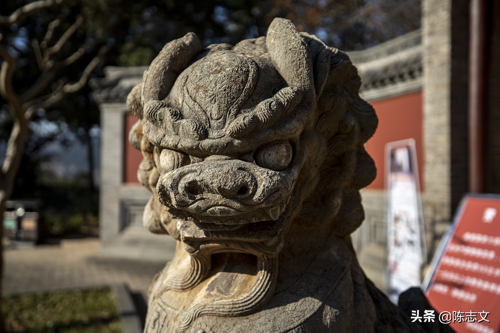 佛陀圆寂后几日火化,古代高僧圆寂视频