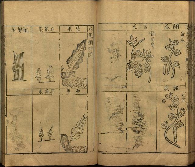 李时珍与本草纲目ppt课件,神农本草经正版李时珍书籍