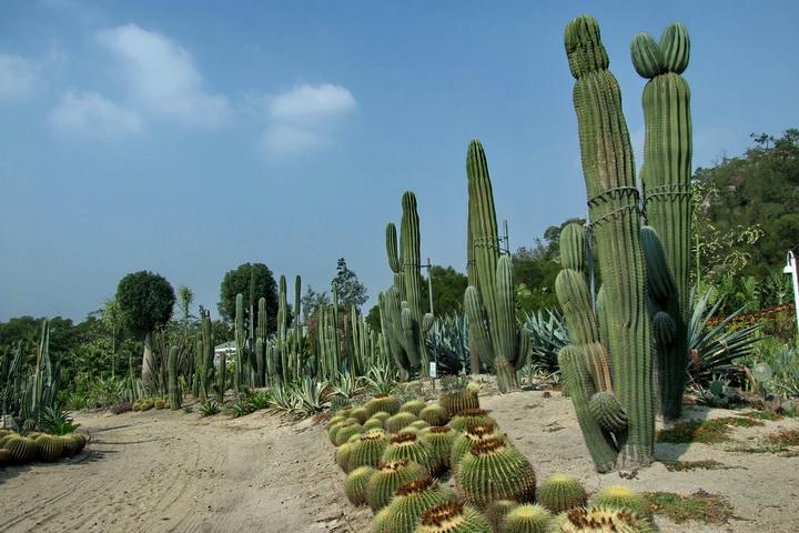 厦门抖音里的打卡地,厦门抖音推荐好地方