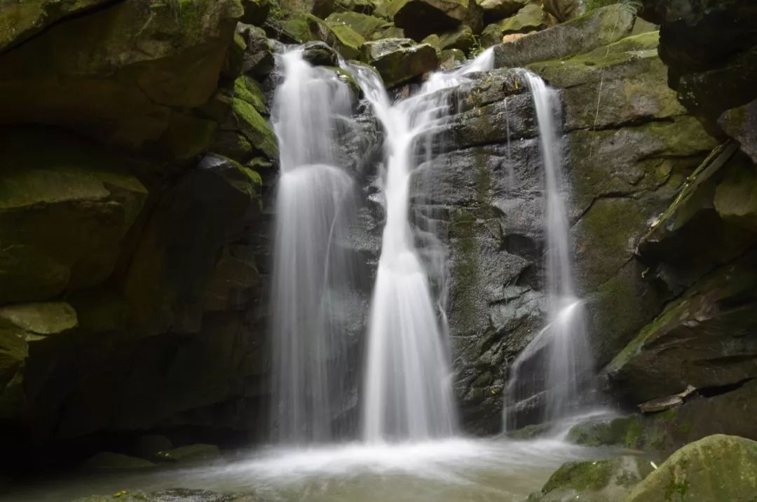 bw滤镜价格,bw滤镜哪里有正品