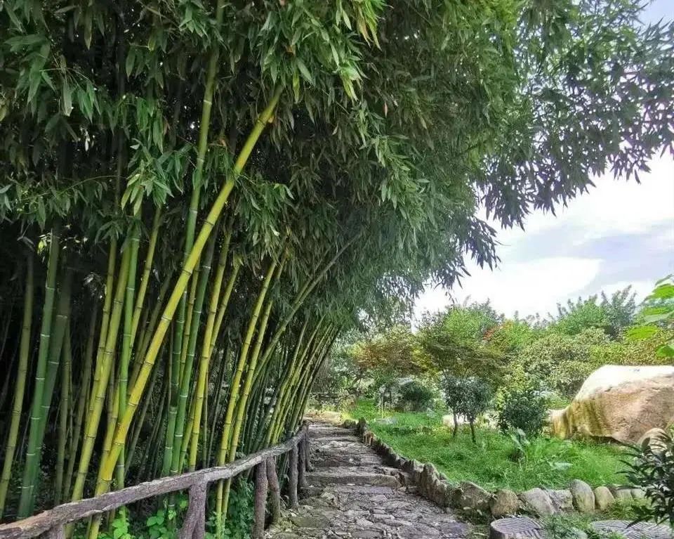 住在春天民宿,住在春天里这些民宿快收藏