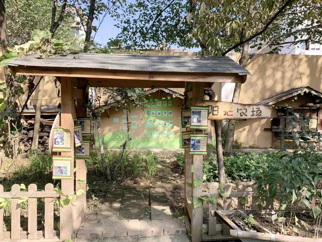 蒙氏教育幼儿园探园,参观蒙氏幼儿园的相关问题