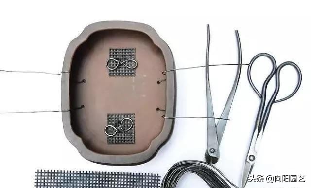 农民大爷自己做的盆景,老大爷盆景制作视频