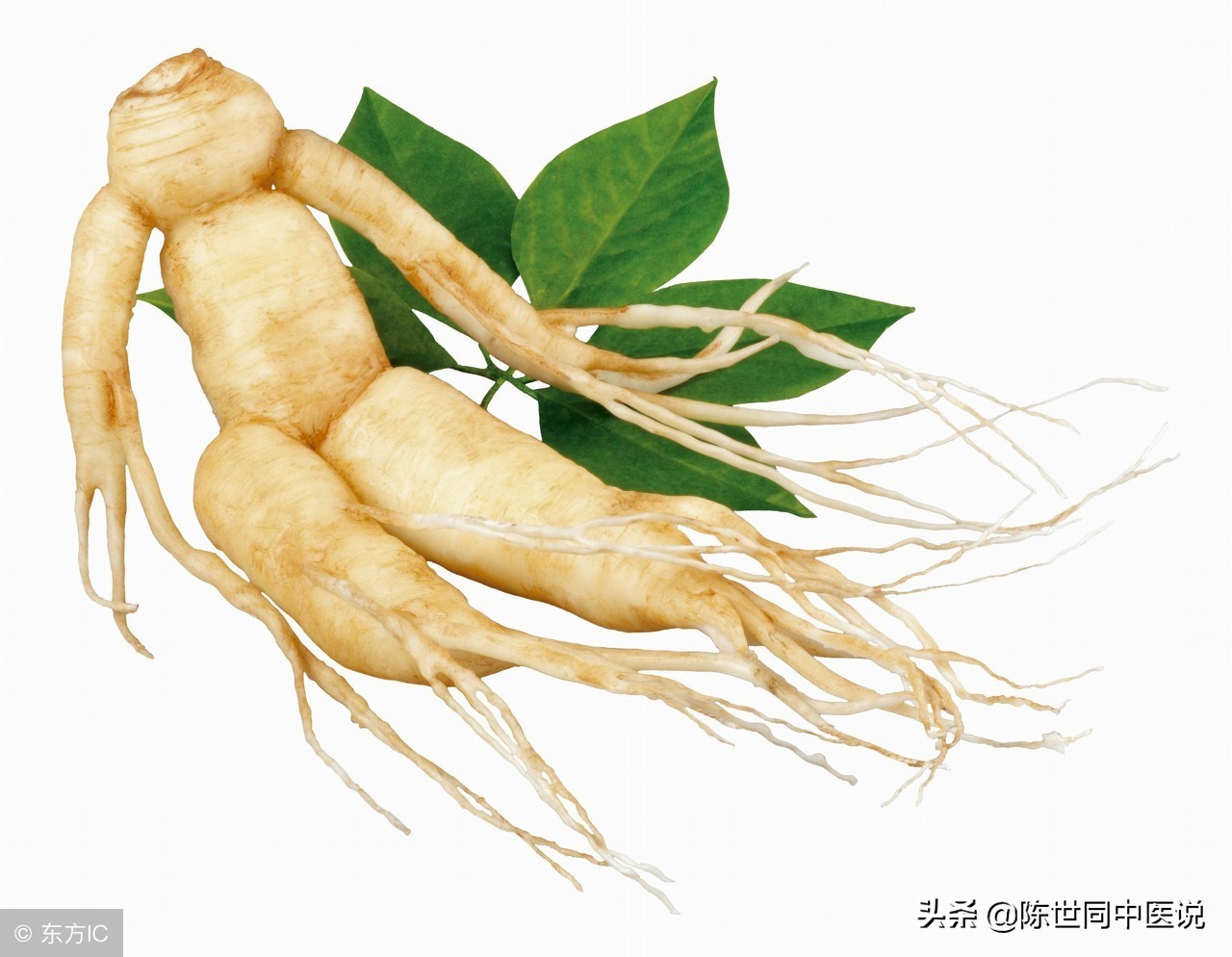 头顶秃一块到底是斑秃还是鬼剃头,怎么改善天生头秃