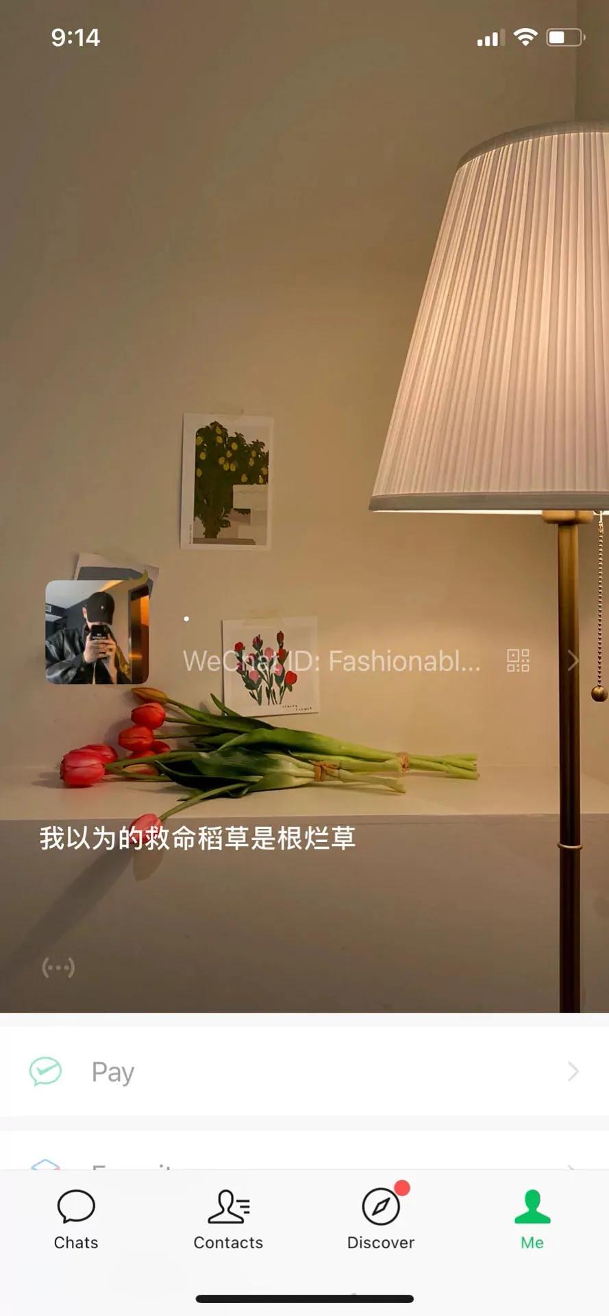 微信动态壁纸高清无水印,微信封面动态视频高级感无水印