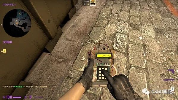 csgo老青年,csgo新青年