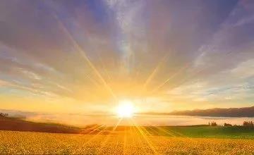 有机的光明——“汇”之篇