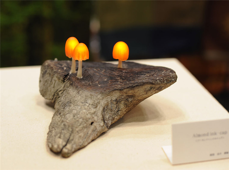 高级不贵小蘑菇灯,高品质极简墙壁灯