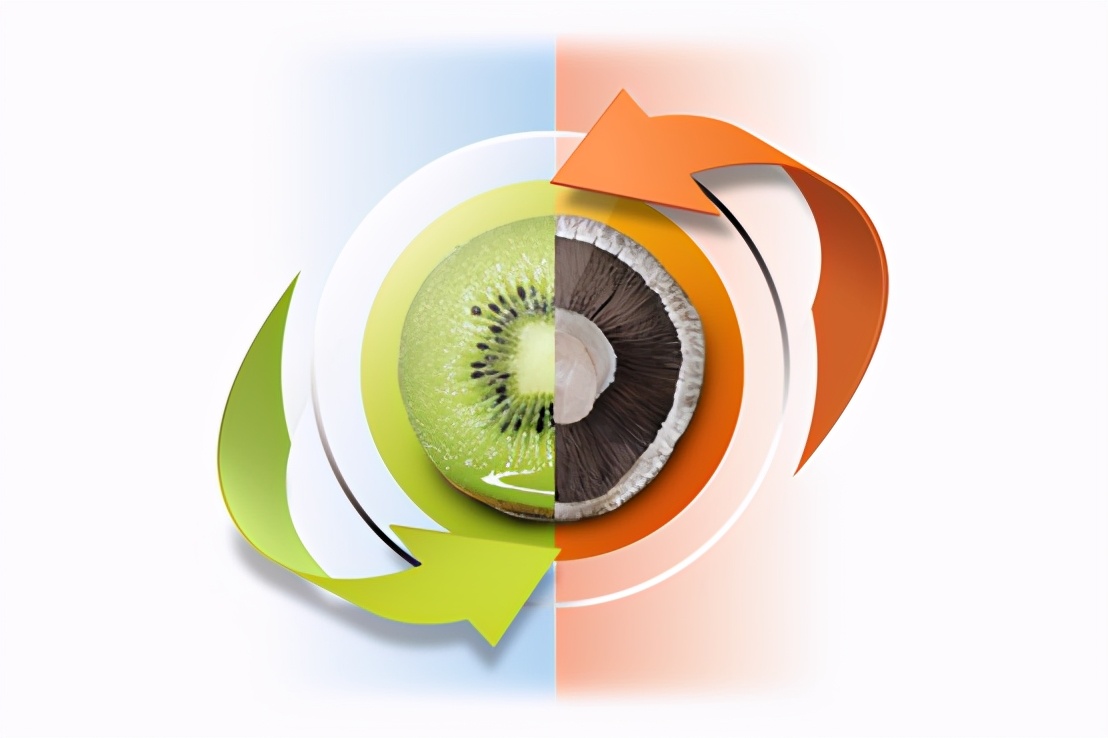 海尔haier冰箱大全,海尔haier十字双开门冰箱