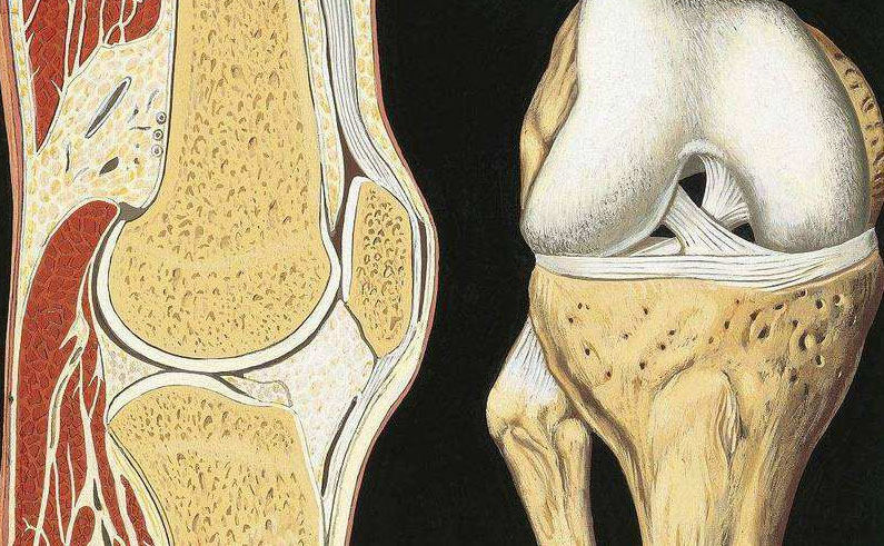 手指滑膜炎和类风湿滑膜炎,类风湿性关节炎与滑膜炎的区别