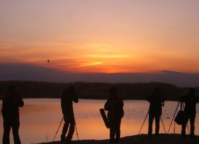 成都到额济纳旗五日游,南京到额济纳旗旅游攻略