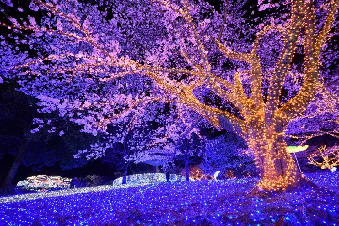 LED灯可诱发失明？关于蓝光危害，这些人务必当心！