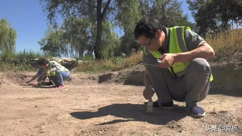 莲子埋入土里多久还可以发芽,莲子埋在泥里会发芽吗