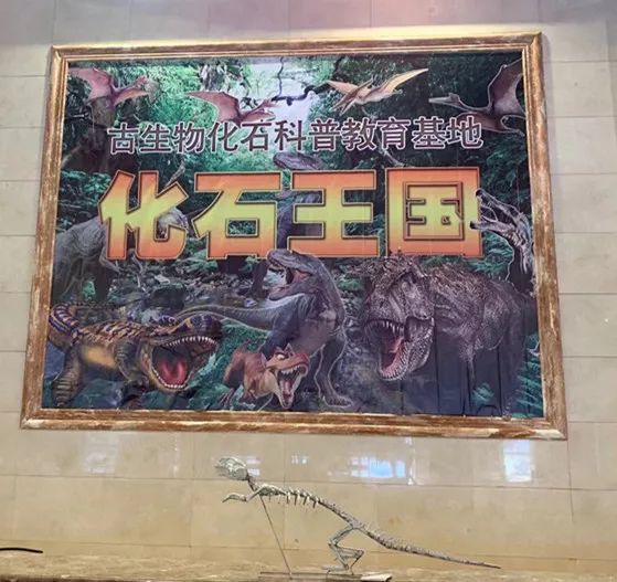 北京通州运河温泉水世界,北京运河苑温泉度假村攻略