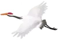 江西省南康中学校歌歌词,大余南安中学校歌