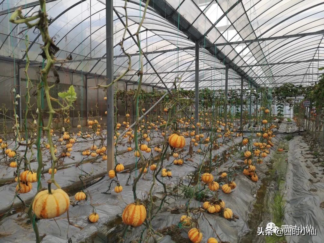 极简风网红民宿,8家网红民宿推荐