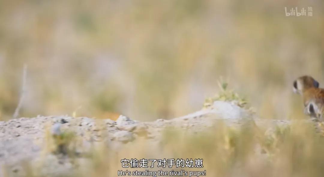 豆瓣评分9.5以上的国产电影有哪些,十部顶级神片推荐