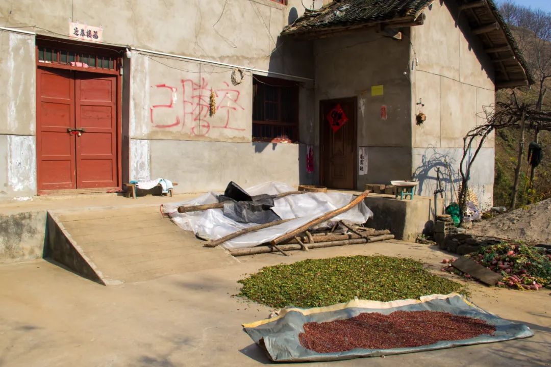 寻访秦岭龙潭村，背篓都是背在背上，这位大婶为何将其挎在腰间？